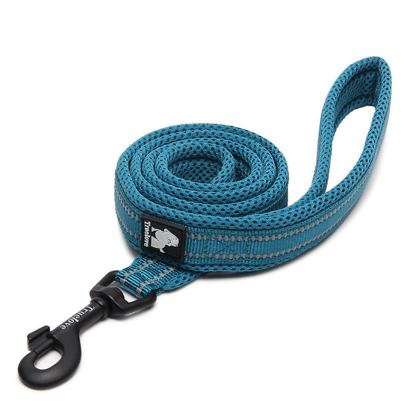 Why the Right Leash Makes All the Difference for Your Dog