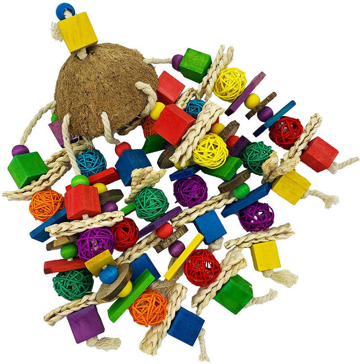Why Your Parrot Needs Nibbling Coconut Shell Toys