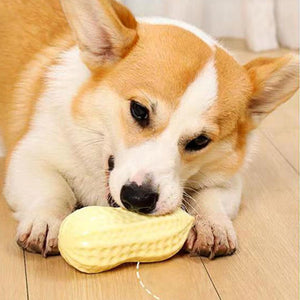 Unleash Joy with Our Dog Chewing Toy Simulation Peanut