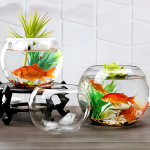 Fish Creating Peaceful Underwater Worlds
