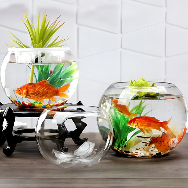 Fish Creating Peaceful Underwater Worlds
