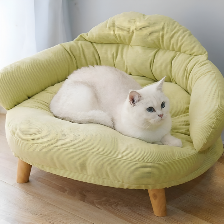 Where Comfort Meets Sweet Dreams