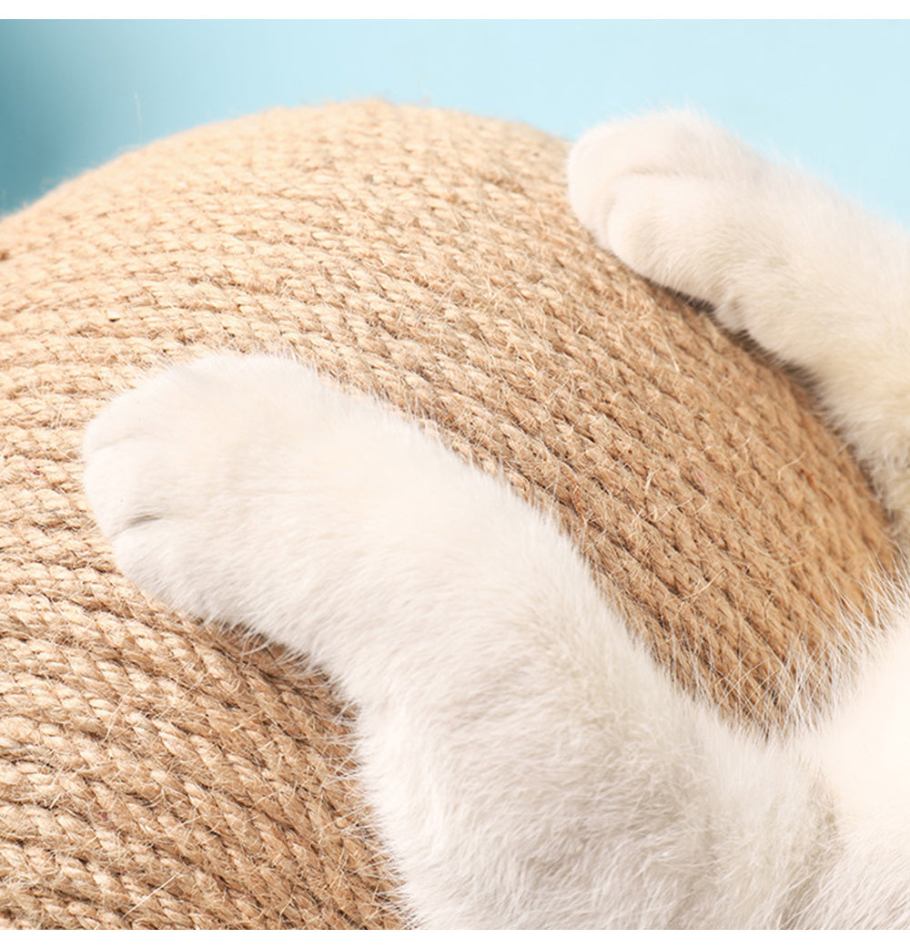 Professional Vertical Cat Catching Ball Toy