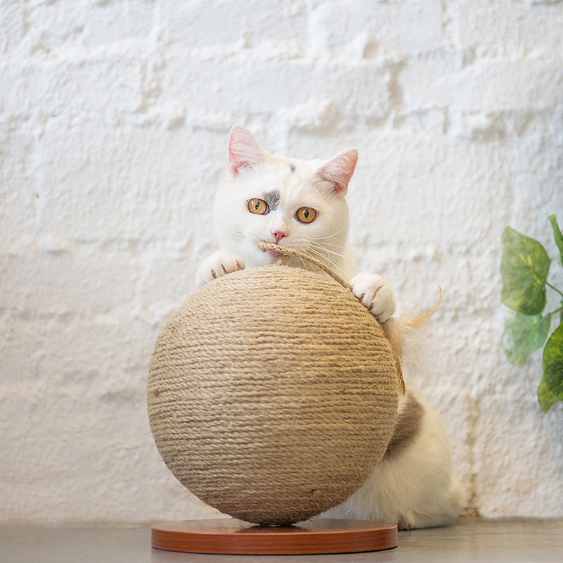 Cat catches the ball Cat Toys