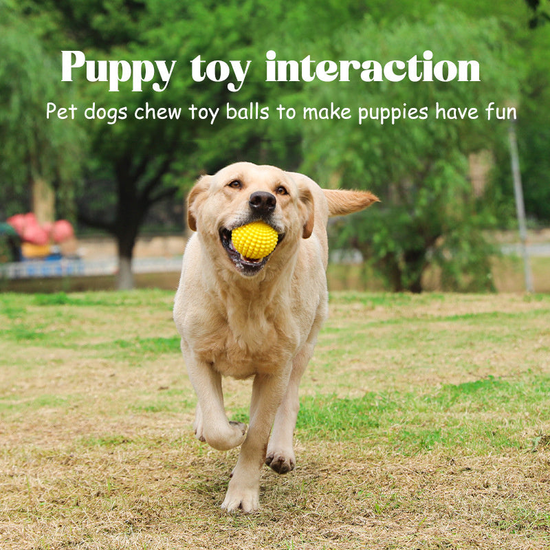 Sugar Squeaky Aggressive Chew Large Dogs Toy