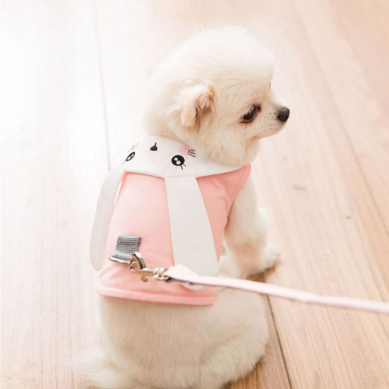 Pet vest chest strap leash cat