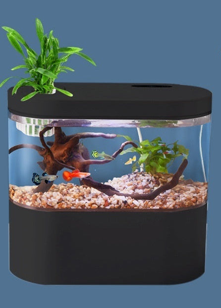 Aquarium Ecological Landscape Desktop
