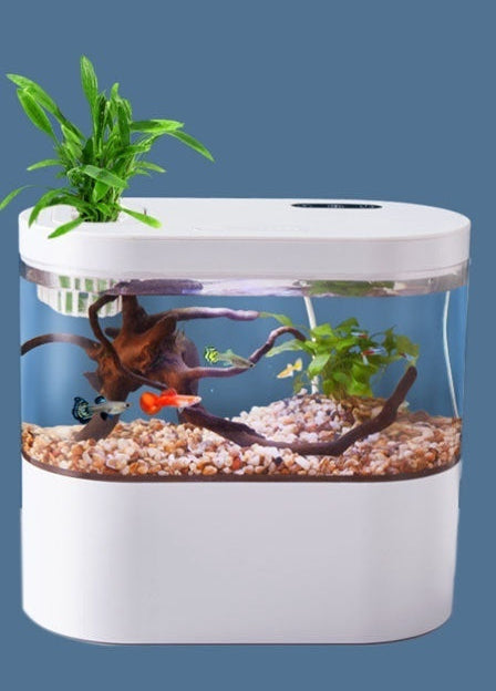 Aquarium Ecological Landscape Desktop