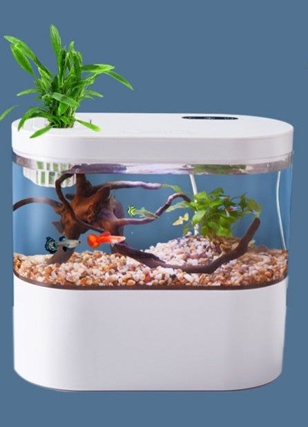 Aquarium Ecological Landscape Desktop
