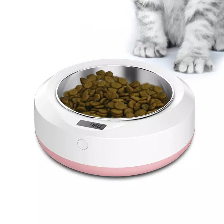 Pet portable automatic feeder