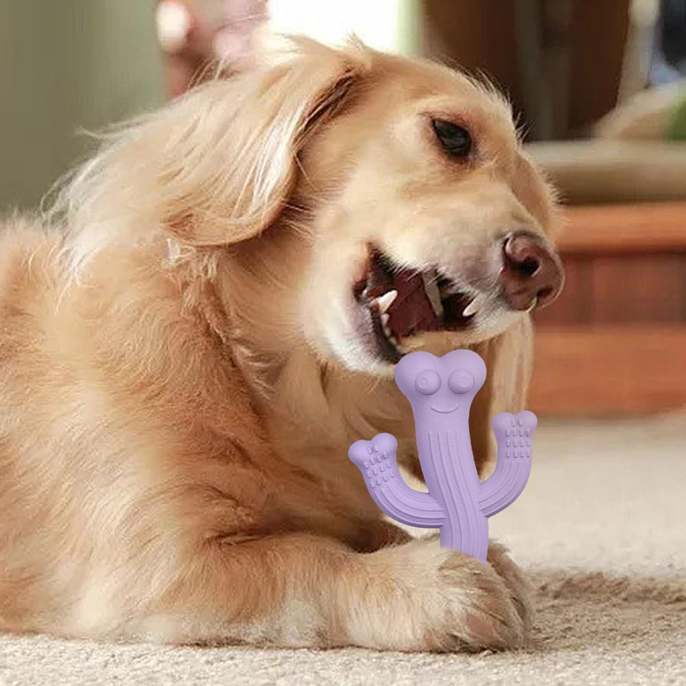 Cactus Puppy Chew Toy Cactus Dog
