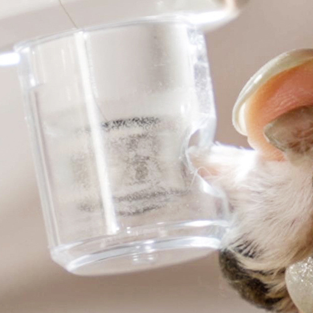 P3 Pet Nail Piercing Device Double Lamp