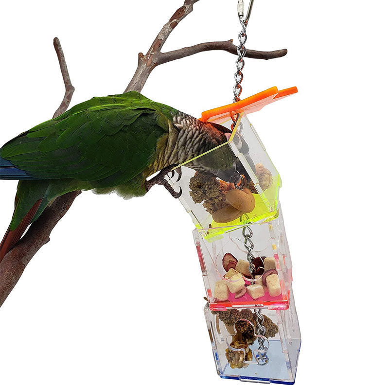 Bird Parrot Educational Toy Food Container