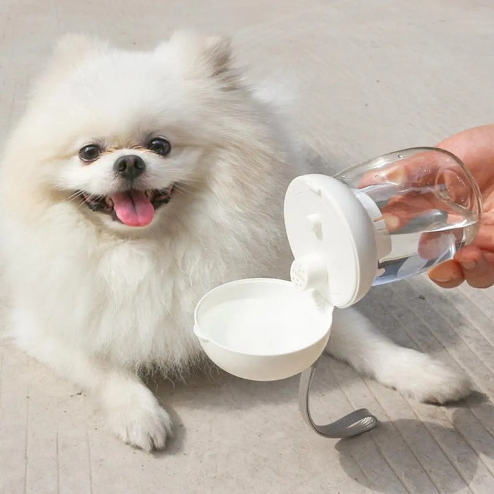 Portable Pet Water Bottle Outdoor Travel
