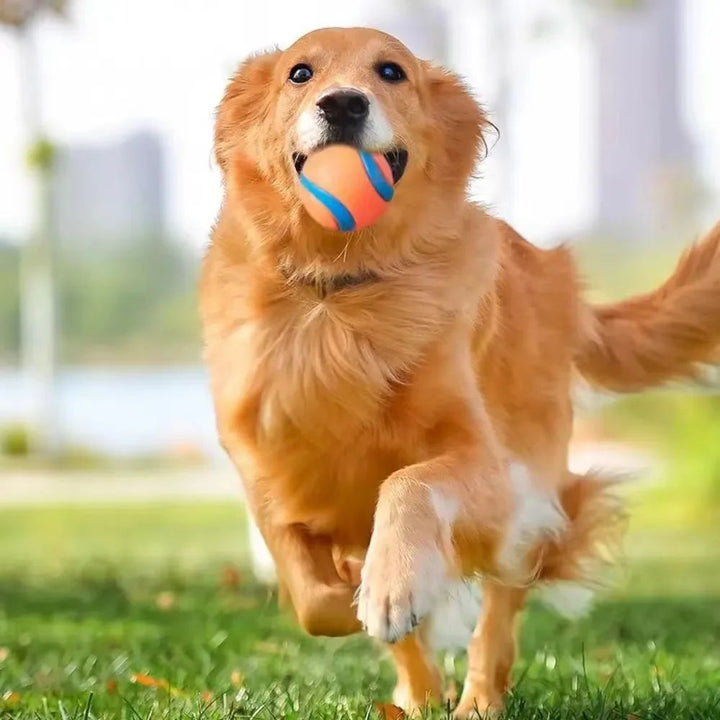 Dog Fetch Ball Toy