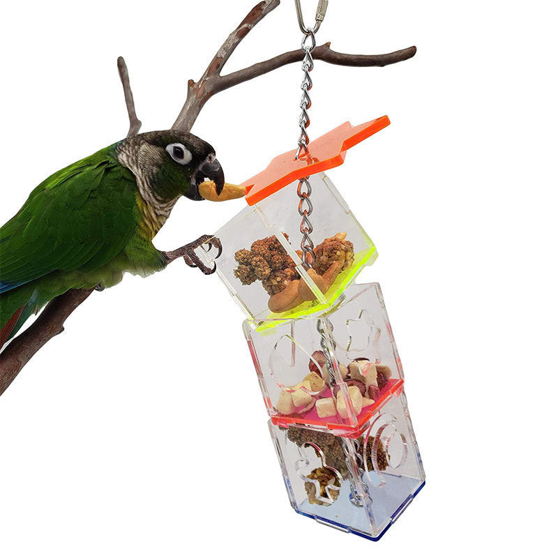 Bird Parrot Educational Toy Food Container