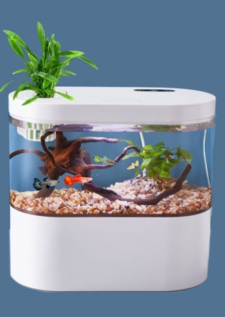 Aquarium Ecological Landscape Desktop