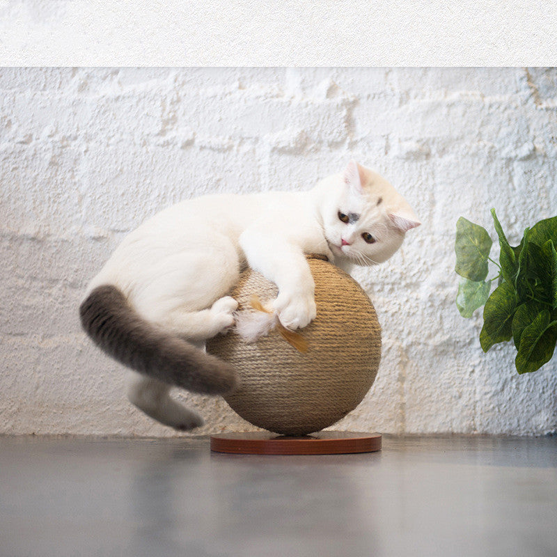 Cat catches the ball Cat Toys