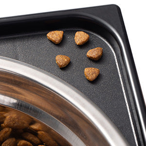 Pet Lifting Feeding Bowl Neck