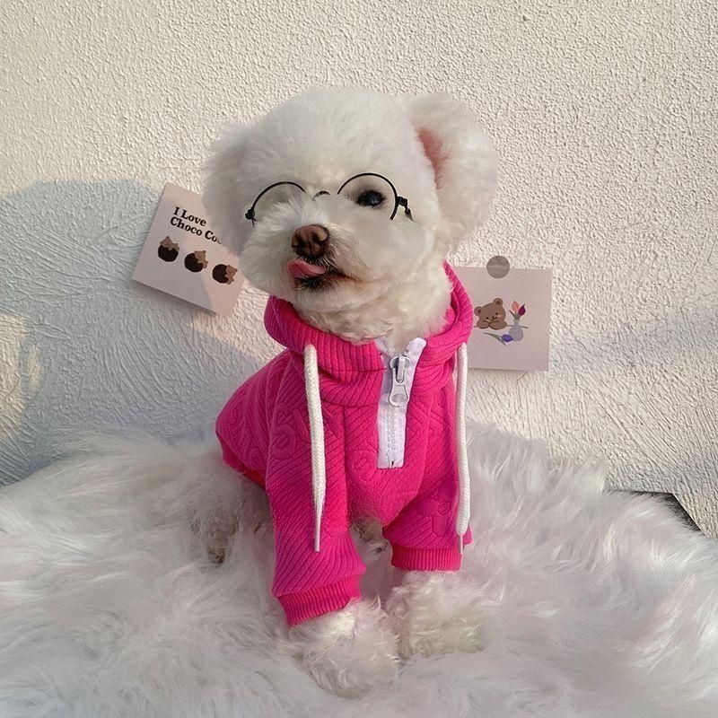 Internet Celebrity Pet Sweater Handsome Thin