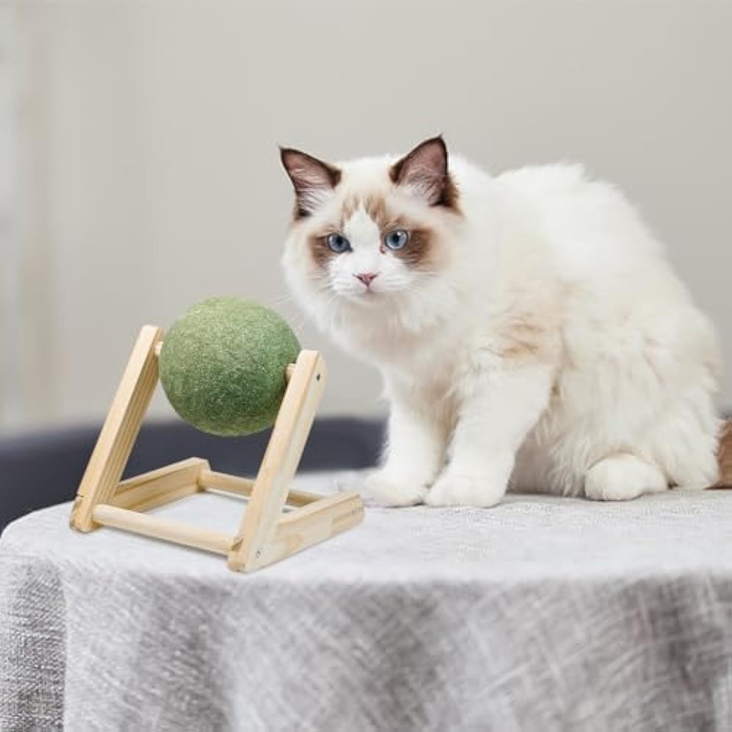 Catnip Balls Toys For Cats
