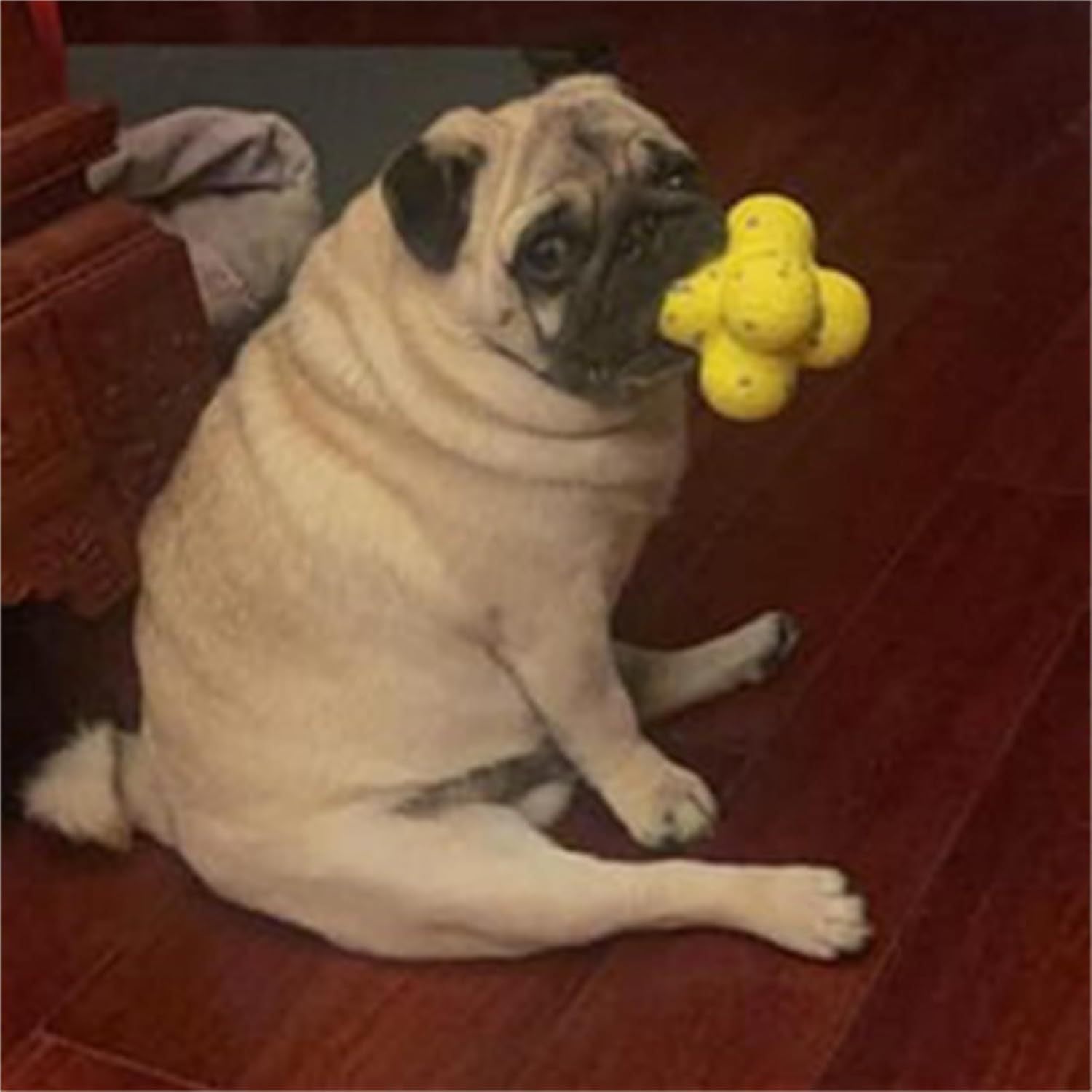 Mellow Calming Support Ball