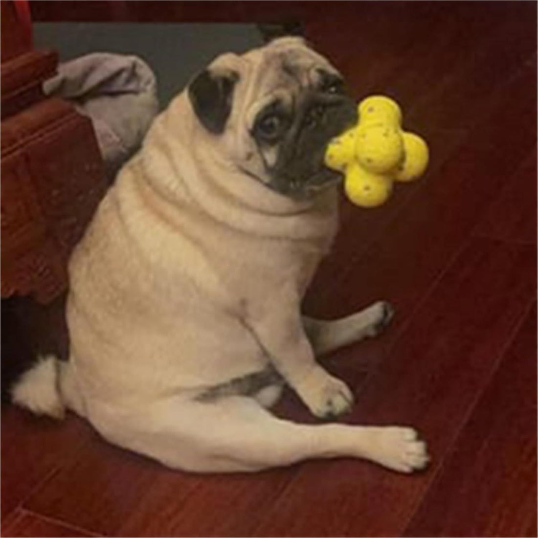 Mellow Calming Support Ball