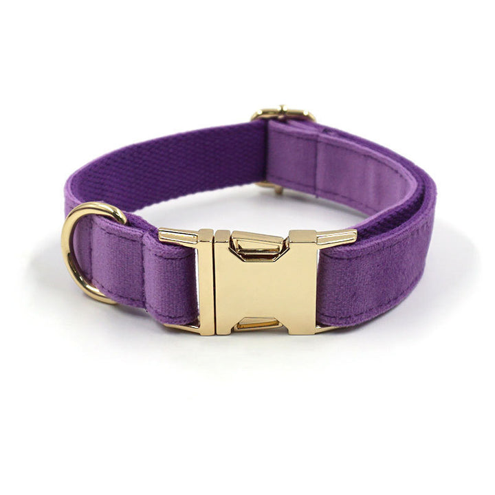 Deep Purple Velvet Gold Buckle Pet Collar
