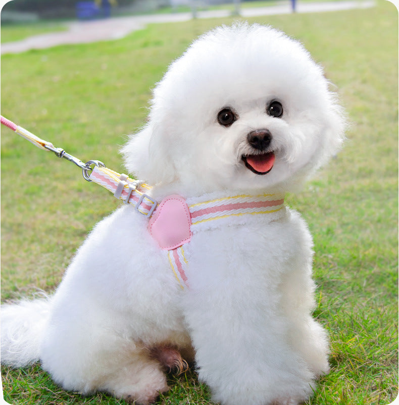 Dog Summer Breathable Leash