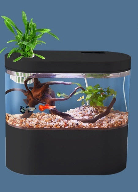 Aquarium Ecological Landscape Desktop