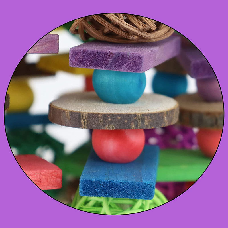 Parrot Nibbling Coconut Shell Toys