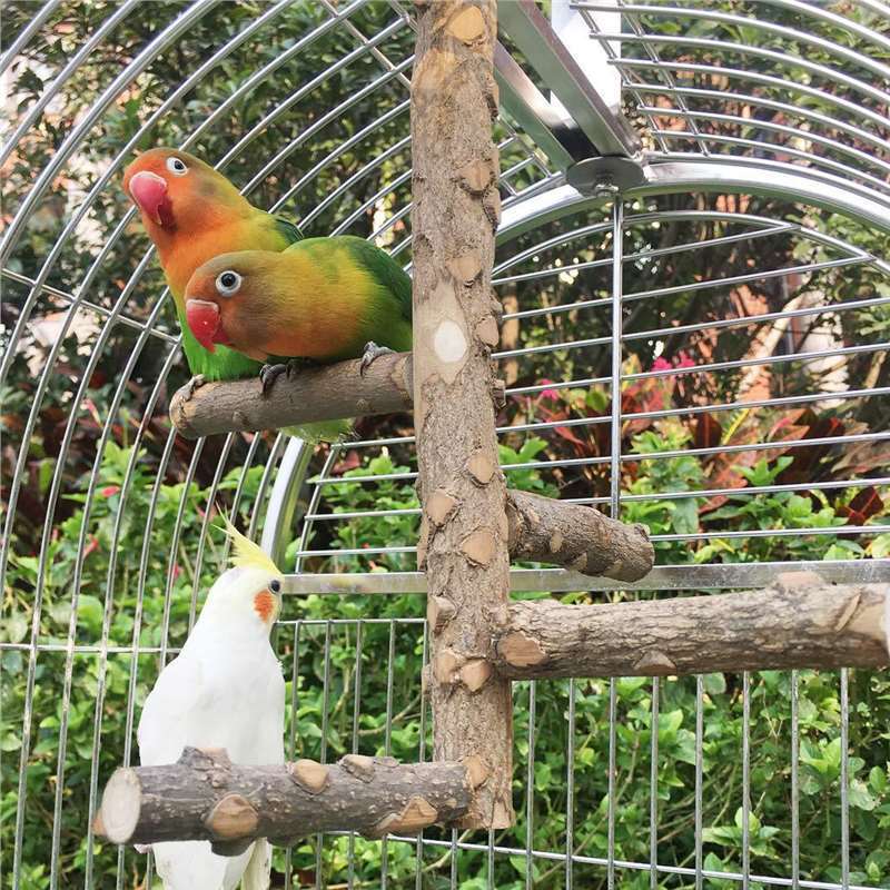 Parrot Toys Bite Swing Bell Stand