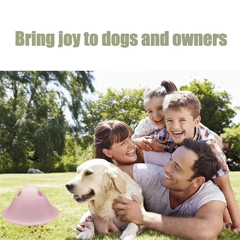 Interactive Big Dog Chew Toy