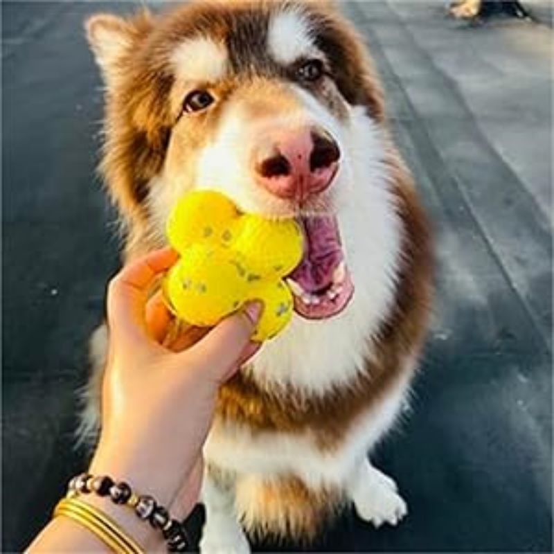 Mellow Calming Support Ball