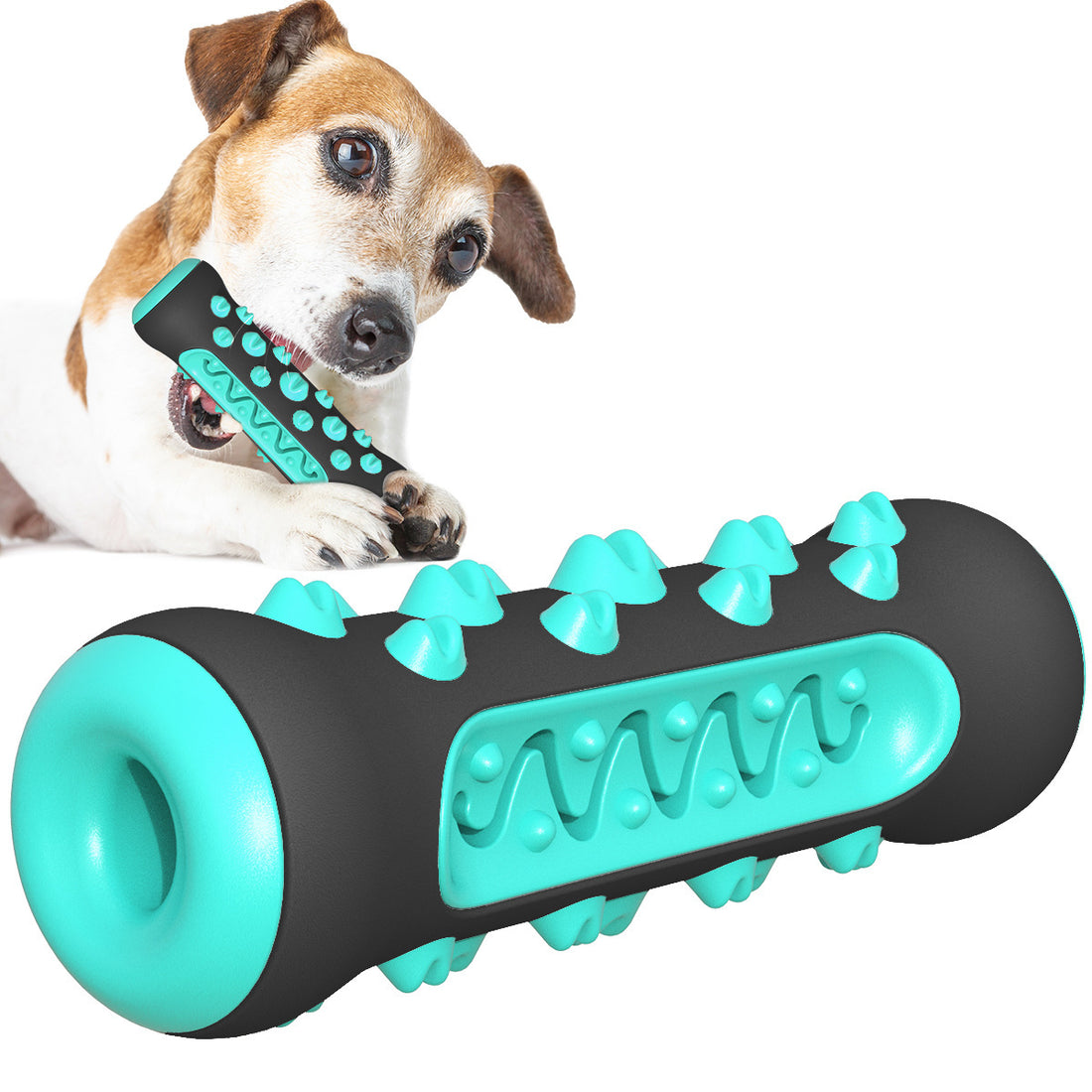 Dog Toothbrush Chew Toy