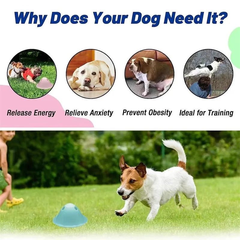 Interactive Big Dog Chew Toy